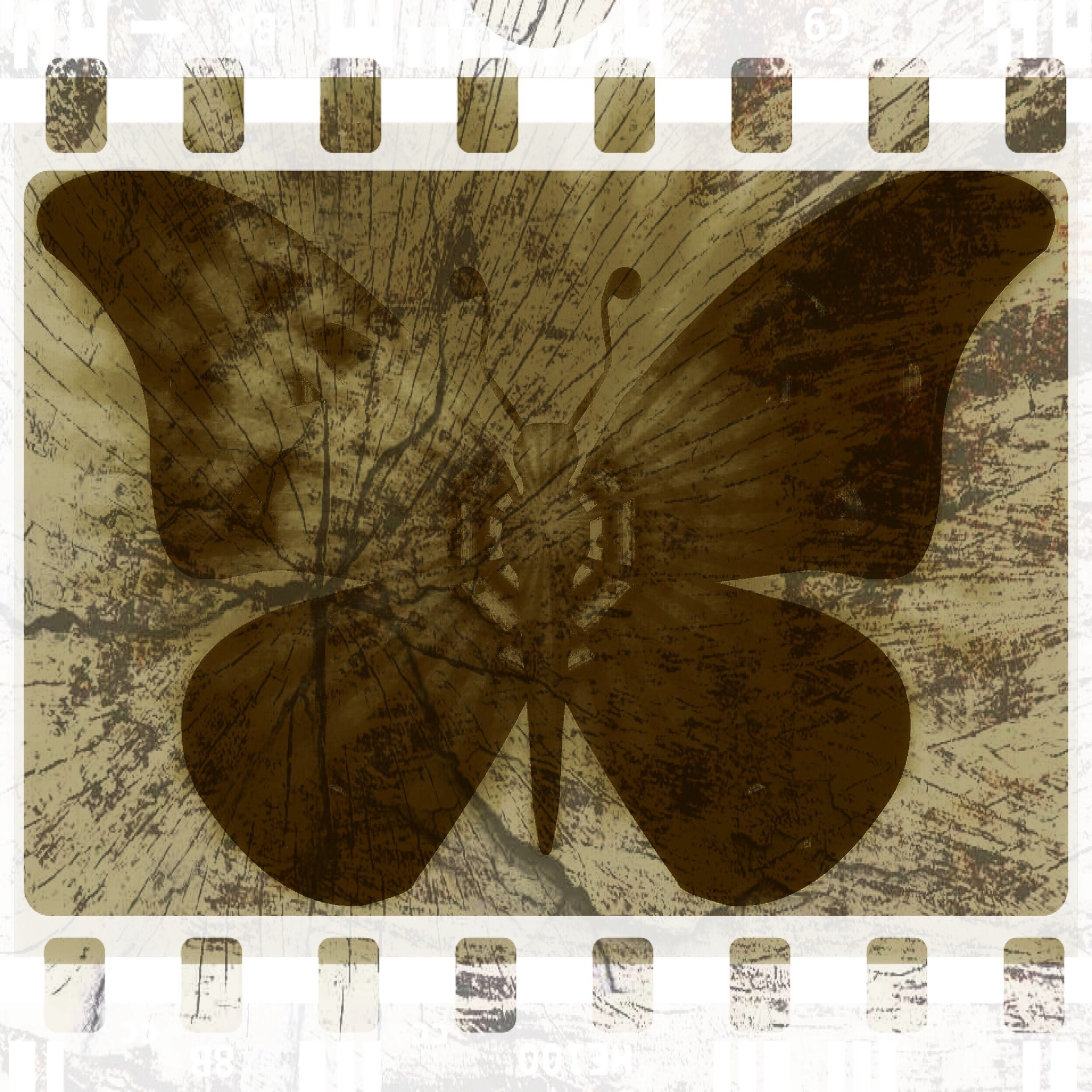 Grunge butterfly illustration