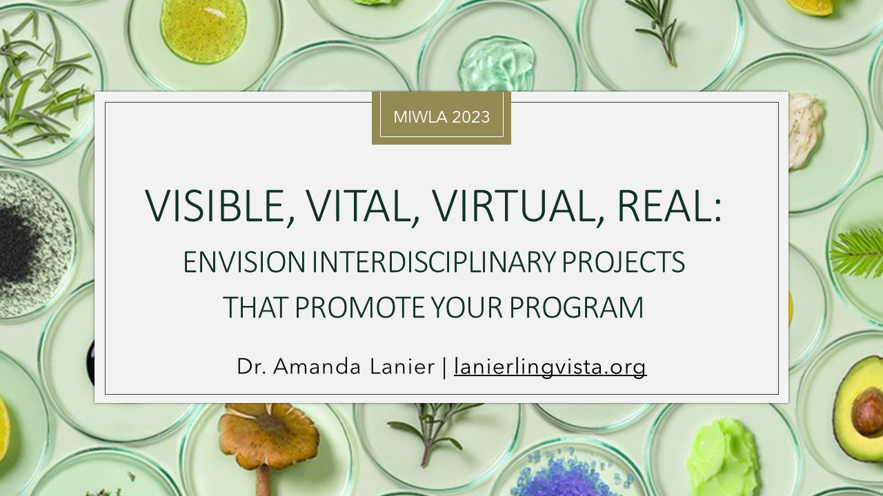 Visible Vital Virtual Real Presentation – MIWLA 2023