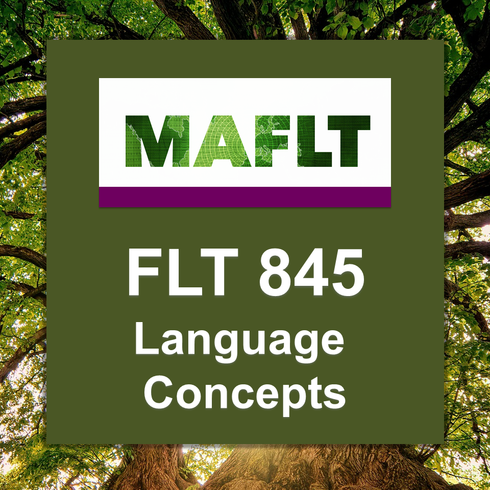 FLT 845 Language Concepts course logo